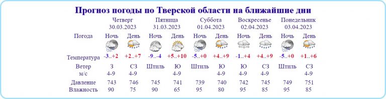 Ночь на последний день марта в Тверской области будет морозной