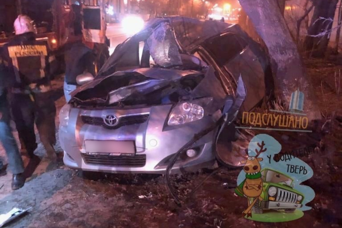 Ночью на улице Туполева водитель влетел в дерево