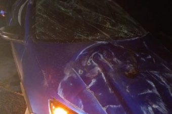 Два человека пострадали в ночном ДТП с участием Лада Гранта в Тверской области