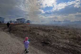Пал травы едва не привел к серьезному пожару под Тверью