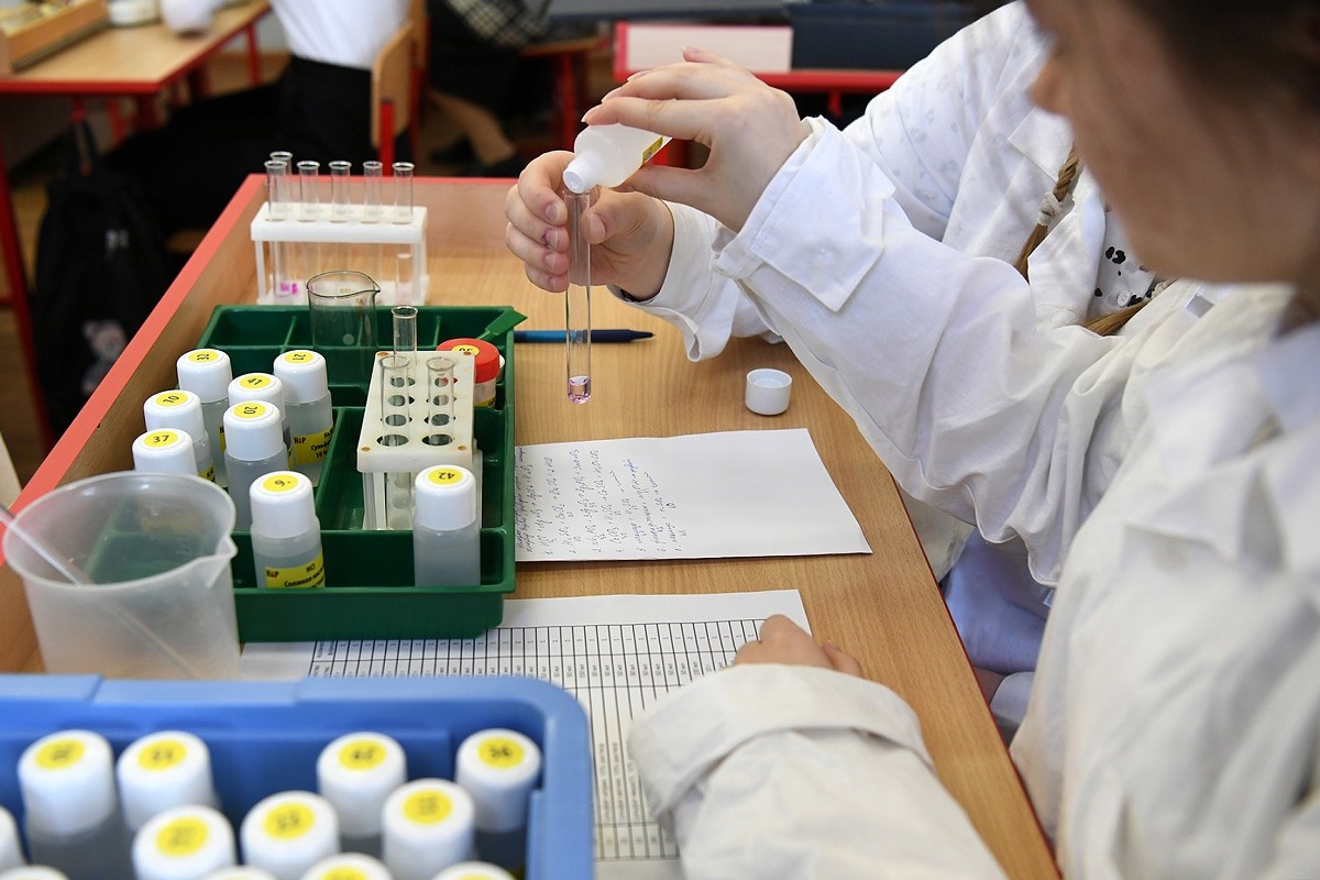 Названо количество детей из Курского региона, которые пойдут в тверские школы