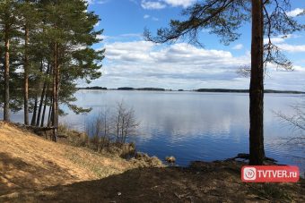 Роспотребнадзор назвал признаки опасных для купания водоемов