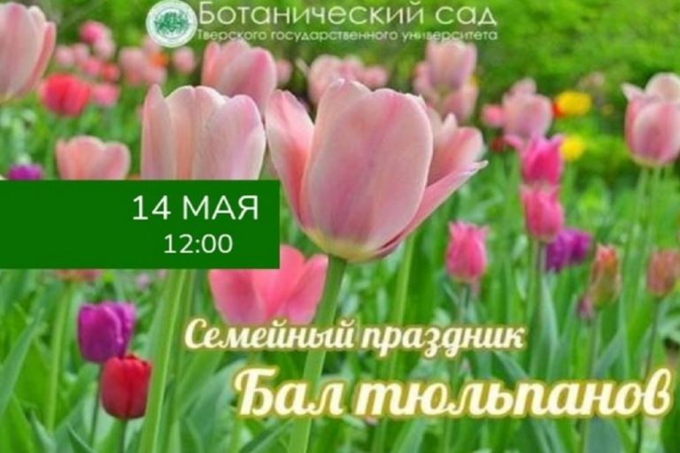 ТОП - 5 событий Твери на 12 - 14 мая