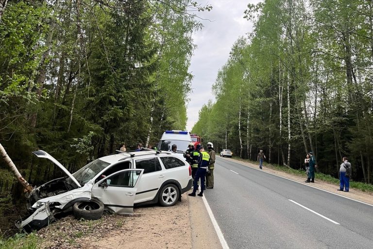 Две легковушки столкнулись и вылетели в кювет в Тверской области