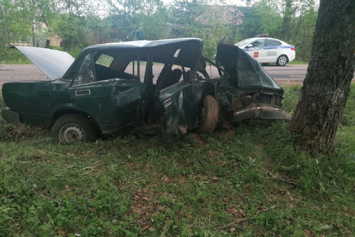 Молодой водитель раскурочил автомобиль, врезавшись в дерево в Тверской области