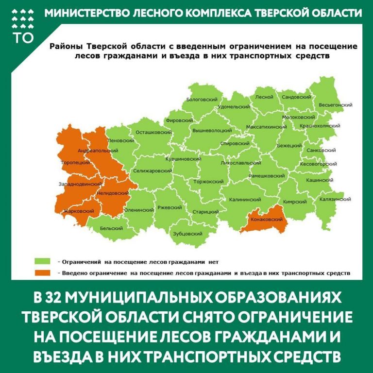 Жителям 32 муниципалитетов Тверской области вновь разрешили ходить в лес