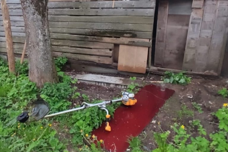 Житель Верхневолжья сломал топор, пытаясь ночью проникнуть в чужой дом