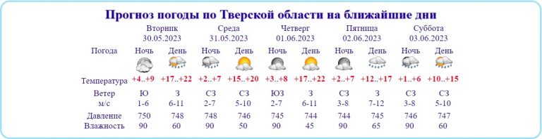 Жителей Тверской области предупредили о грозе и чрезвычайной пожарной опасности