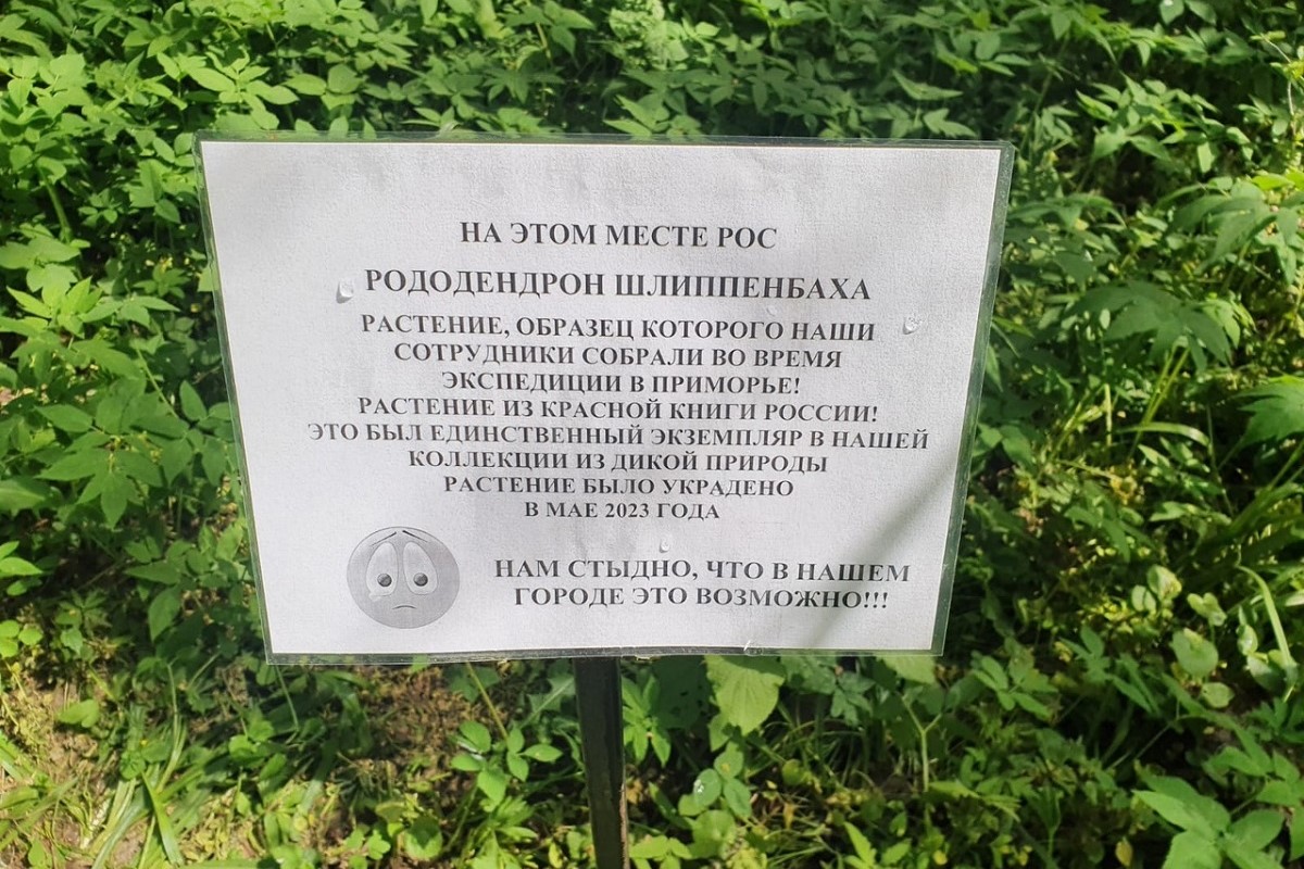 Из Ботанического сада ТвГУ украли редкое растение