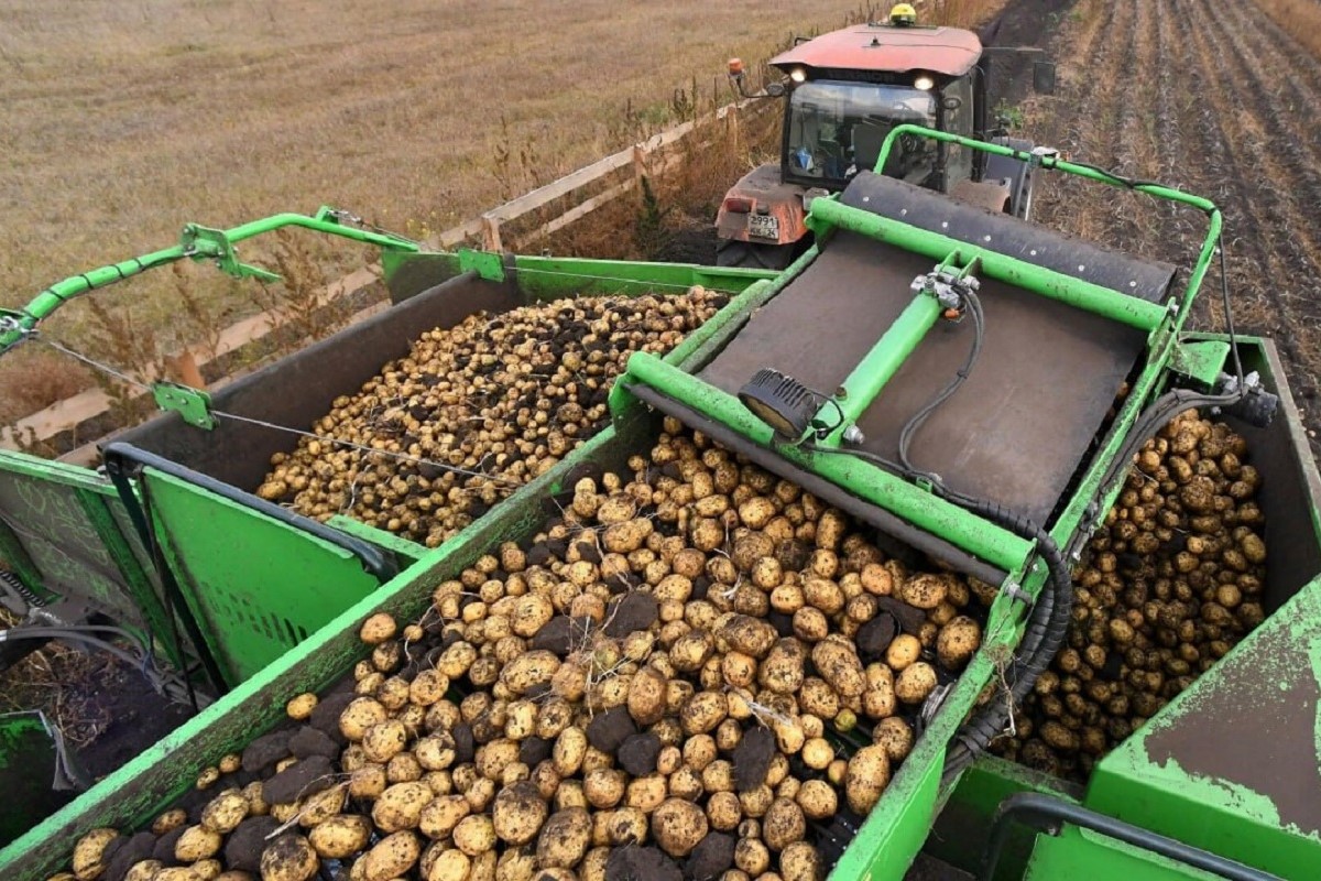 Тверские сельхозпроизводители смогут представлять свою продукцию на крупнейших маркетплейсах