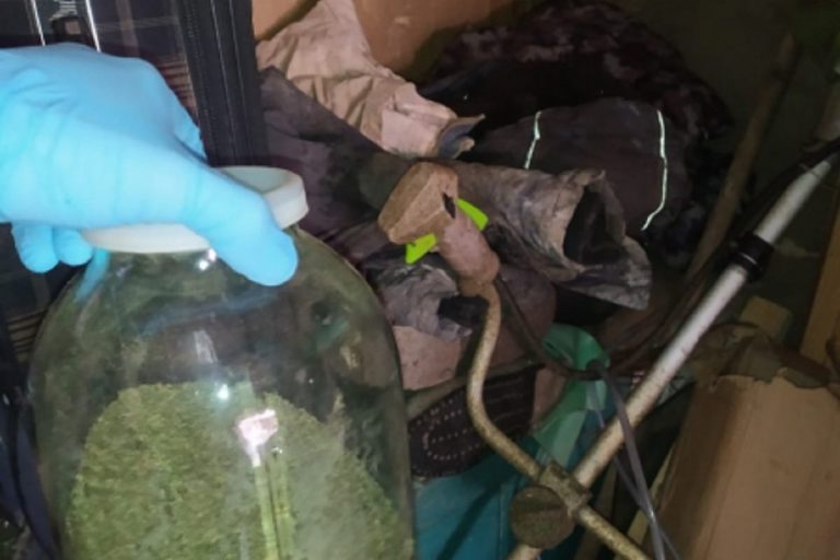 Житель Тверской области хранил в гараже марихуану