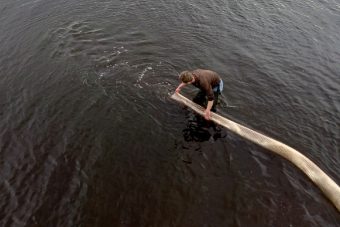 В Тверской области 405 тысяч мальков стерляди выпущены в водохранилище