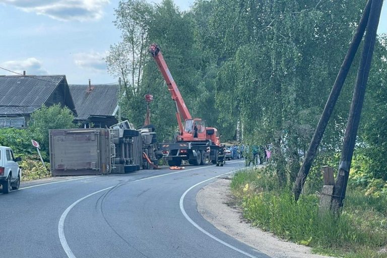 Фура с поросятами опрокинулась в Тверской области