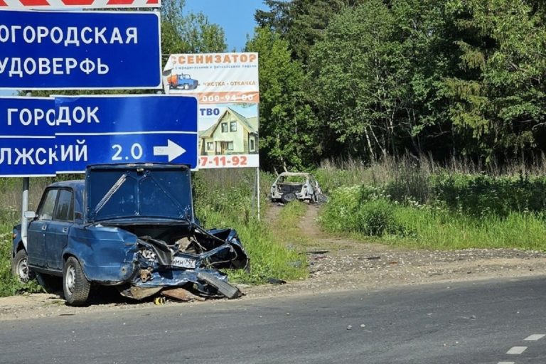 Легковушка выгорела после ДТП в Тверской области