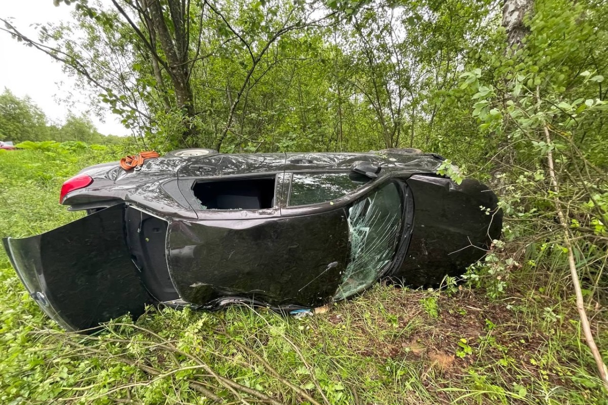 В Тверской области два малолетних ребенка пострадали в ДТП
