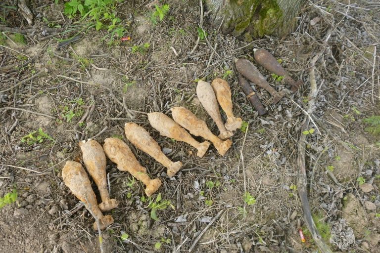 Минометные снаряды времен войны обнаружены в Тверской области
