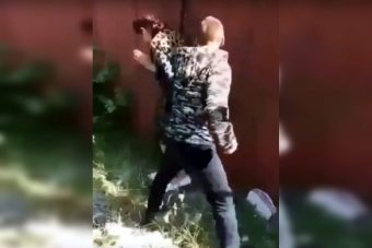 В соцсетях появилось видео с избиением девушки в Тверской области