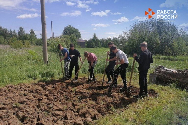 Более 340 подростков получат трудовой опыт на сельхозпредприятиях Верхневолжья