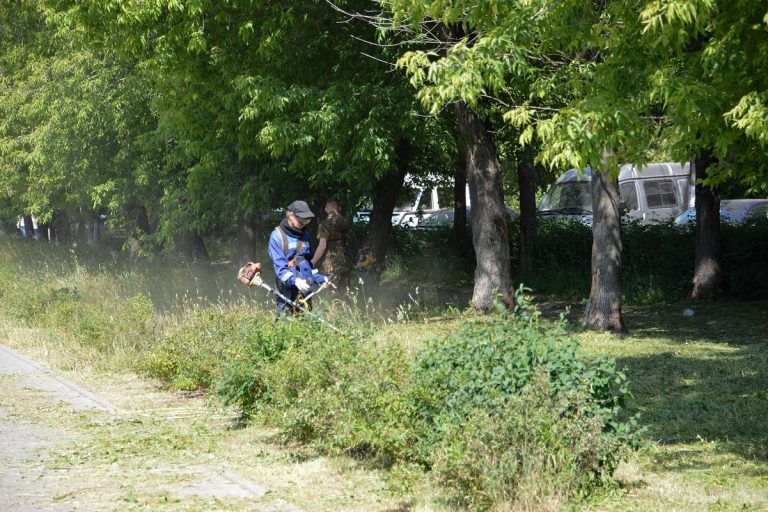 В Твери продолжаются работы по озеленению и благоустройству