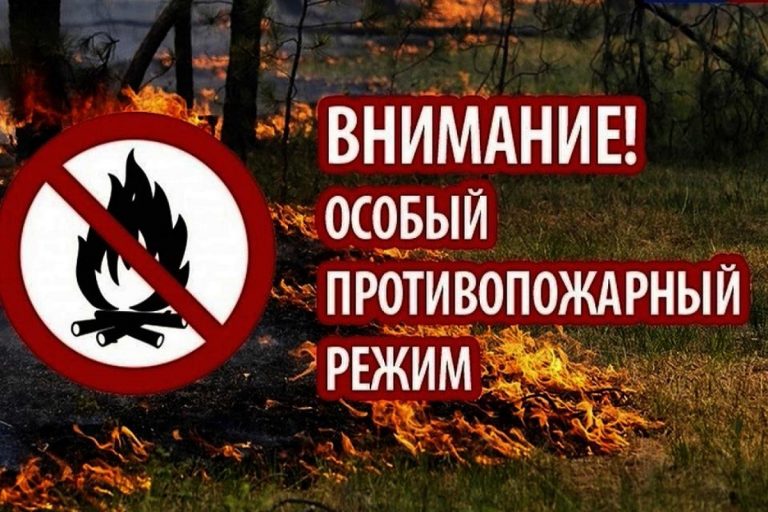 В Тверской области вводится особый противопожарный режим