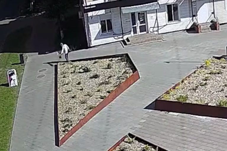 Жительница Тверской области украла в сквере тую (видео)