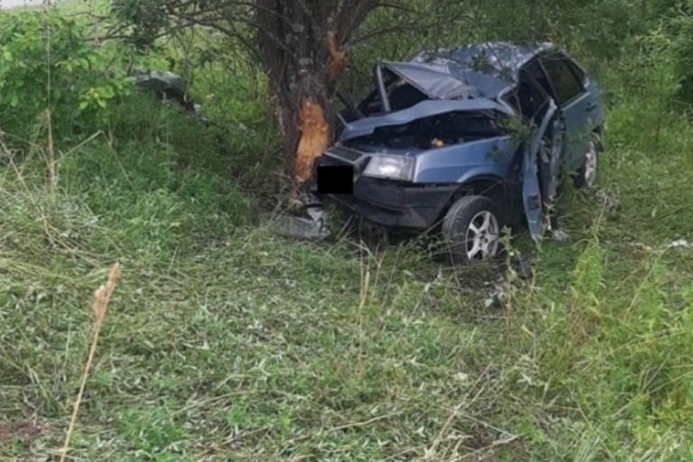 Один человек погиб и двое травмированы при ударе ВАЗа в дерево в Тверской области