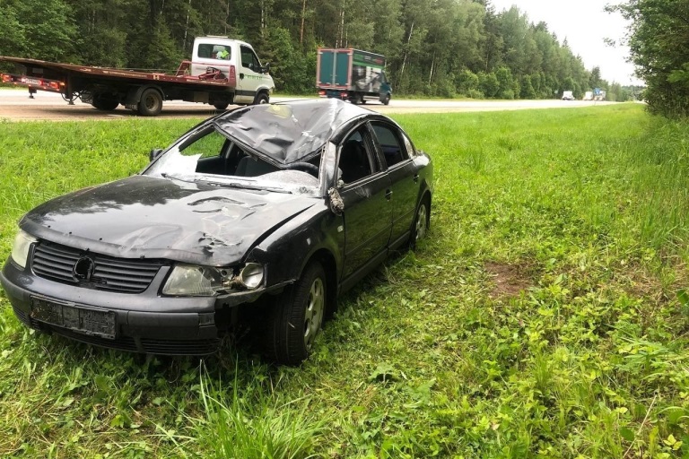 В Тверской области на трассе М-10 водитель легковушки пострадал в столкновении с лосем