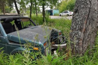 В Тверской области водитель Нивы проверил на прочность дерево