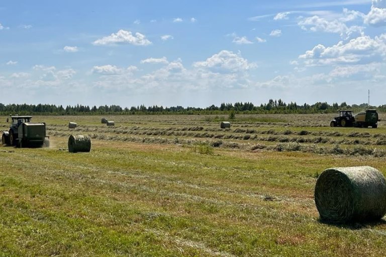 В Тверской области продолжается заготовка кормов для животноводства