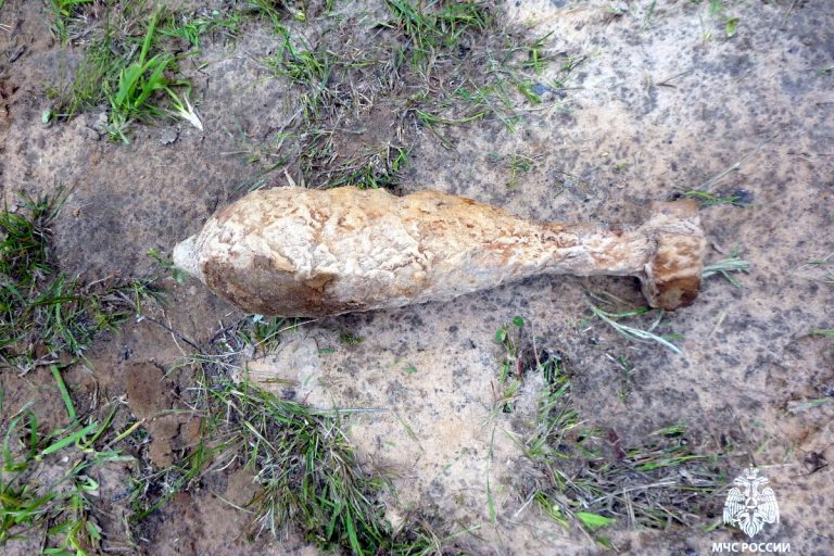В Тверской области обнаружили минометную мину