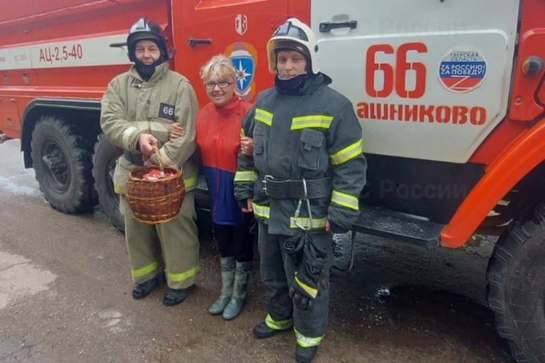 В Тверской области женщина искала грибы, пока искали её