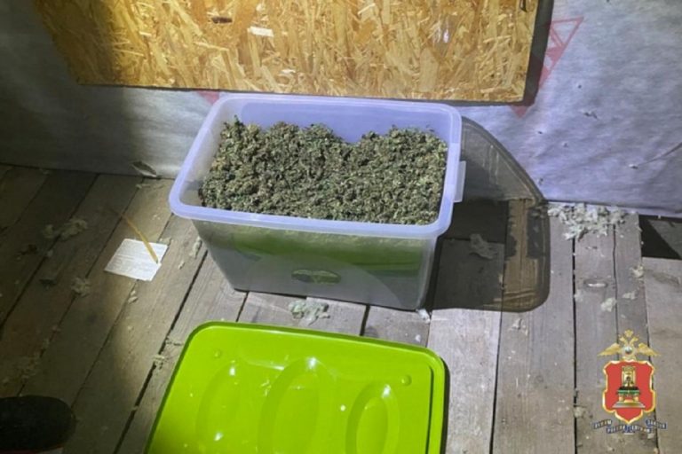 Житель Твери хранил 4 килограмма марихуаны и автомат