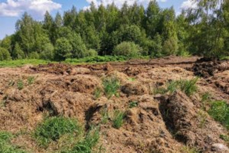 Купить Земли Сельскохозяйственного Назначения В Ленинградской Области