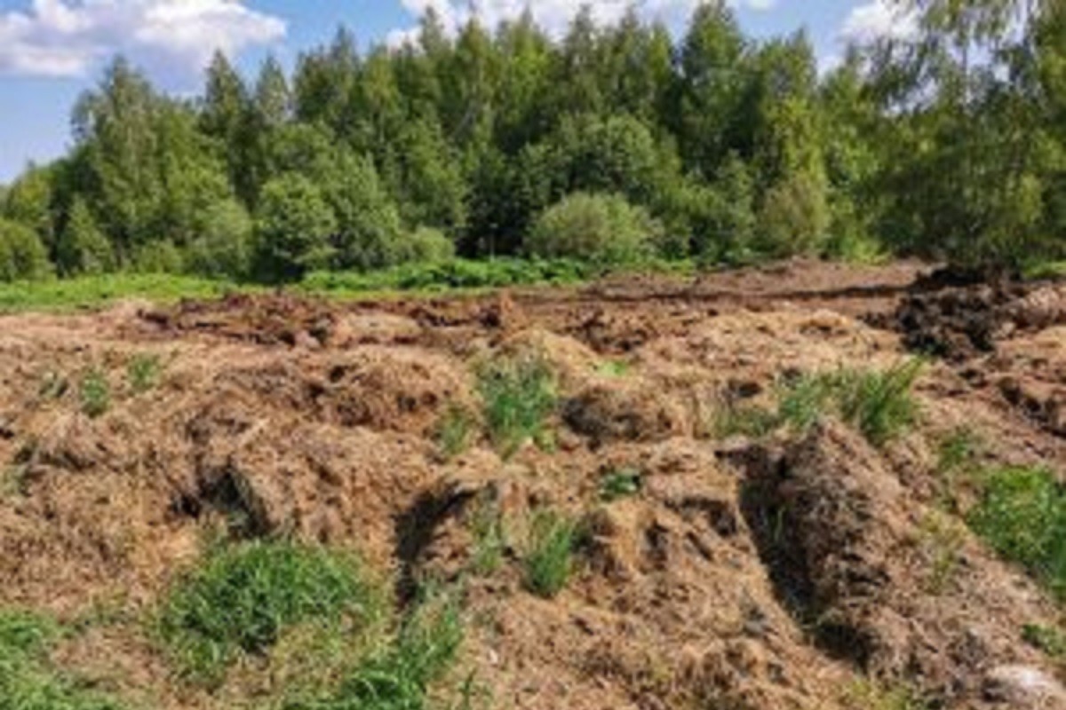 Загрязненные и заросшие сельхозугодья выявлены в Тверской области