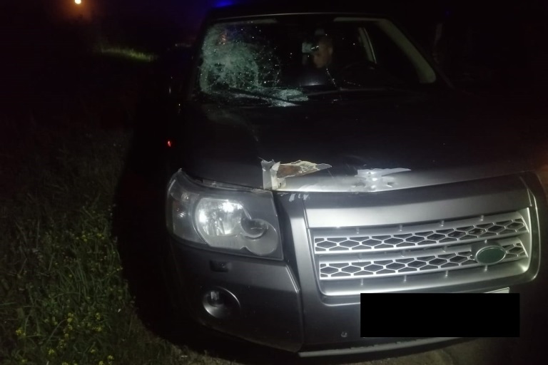 В Тверской области Land Rover сбил насмерть пешехода