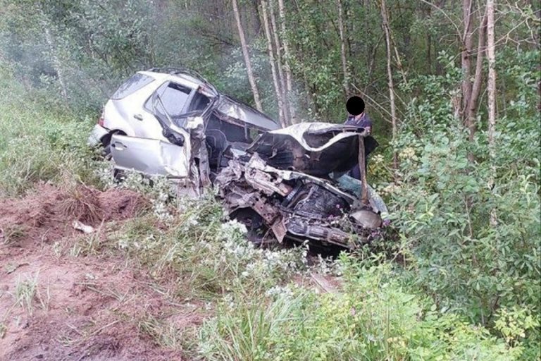 Mercedes и лесовоз столкнулись лоб в лоб в Тверской области