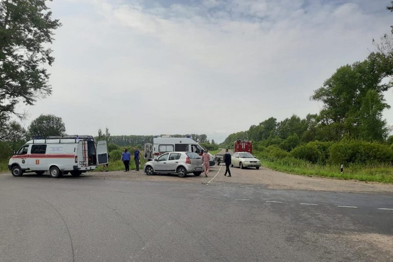 Двое взрослых и ребенок пострадали в ДТП в Тверской области