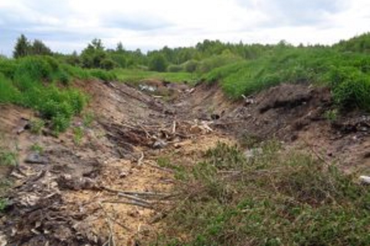 Свалку организовали на сельхозугодьях в Тверской области