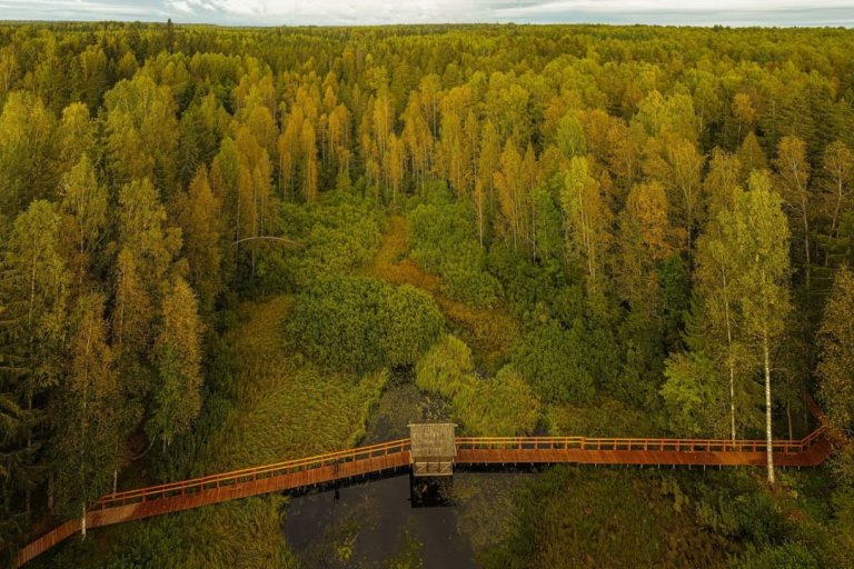 Жители Тверской области могут поддержать экомаршрут Южная тайга в онлайн-голосовании