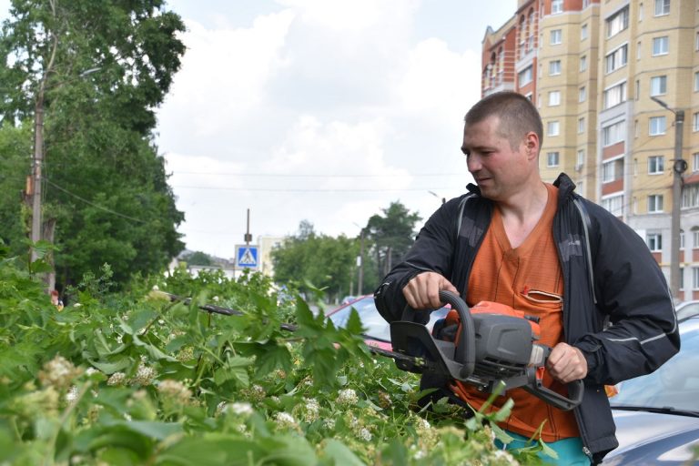 В Твери продолжаются работы по покосу травы и благоустройству зеленых зон