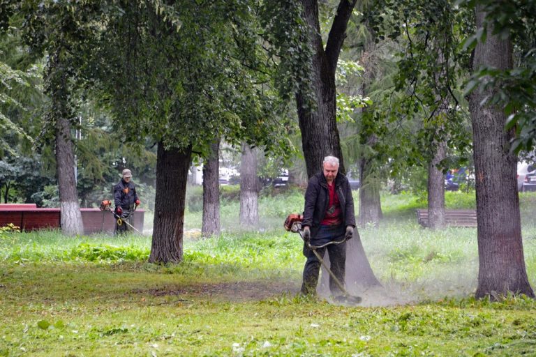 В Твери продолжаются работы по покосу травы и благоустройству зеленых зон