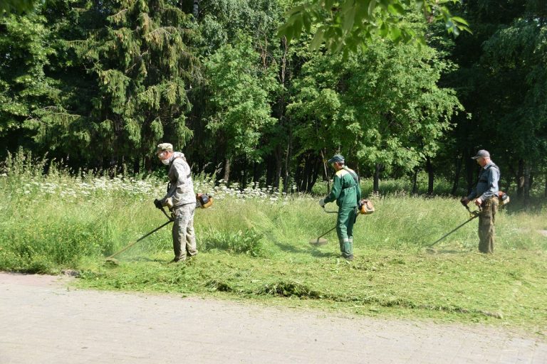 В Твери продолжаются работы по покосу травы и благоустройству зеленых зон