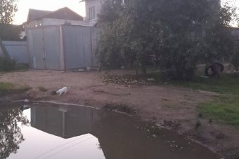 Девочку вытащили без сознания из пруда в Тверской области