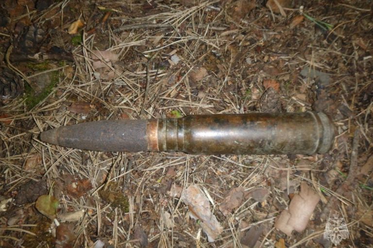Артиллерийский снаряд обнаружили в Тверской области