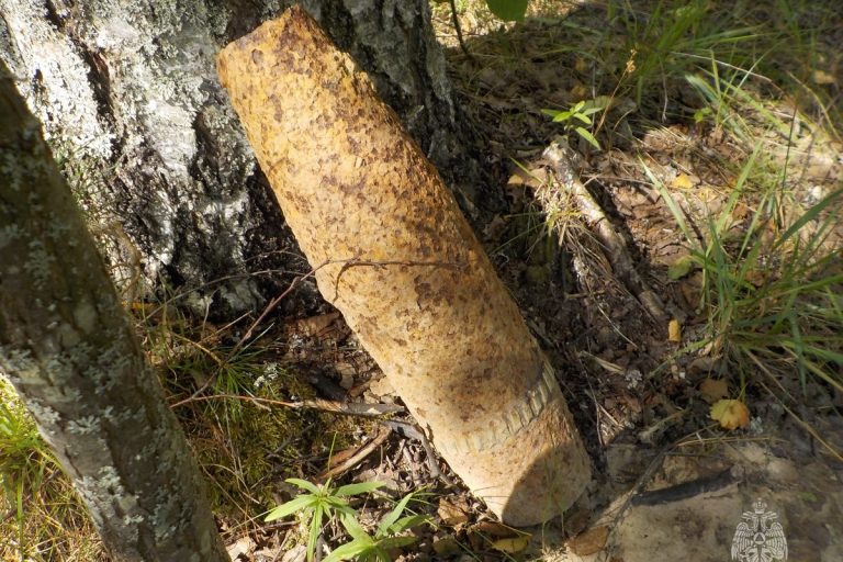 Артиллерийский снаряд обнаружили в Тверской области