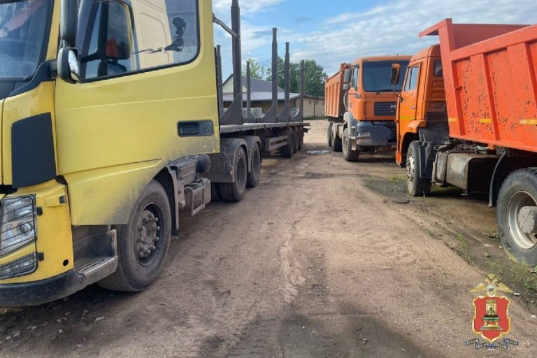 Тверской предприниматель организовал масштабную незаконную рубку леса