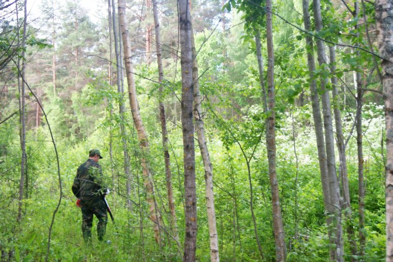В лесном массиве в Тверской области обнаружено тело погибшей женщины В лесном массиве в Тверской области обнаружено тело погибшей женщины