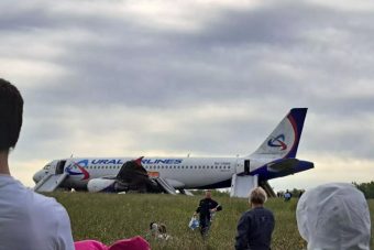 Россия вновь стоя аплодирует севшему теперь в пшеничном поле гражданскому самолету