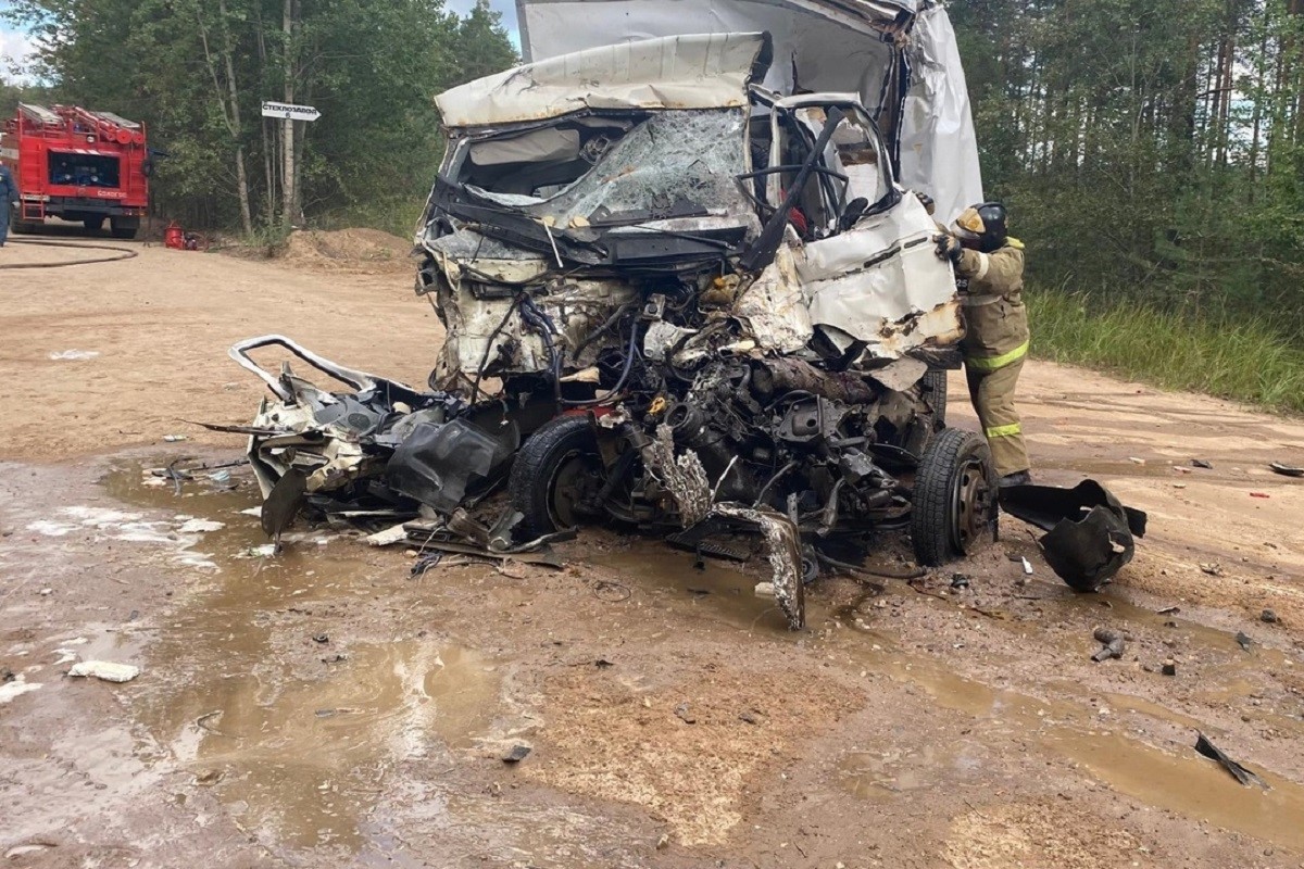 Установлен виновник ДТП с двумя погибшими в Тверской области