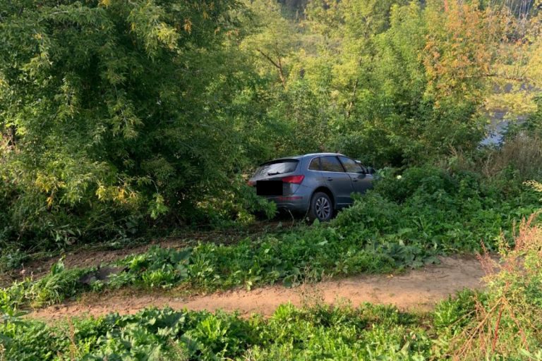 Семилетняя девочка пострадала в ДТП в Тверской области